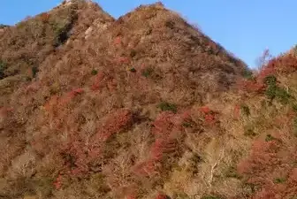 🍁福岡最高峰 秋の紅葉 釈迦岳　[日帰り]